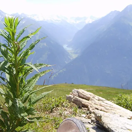 Apartment Franz Josef *