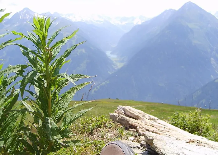 Apartment Franz Josef *