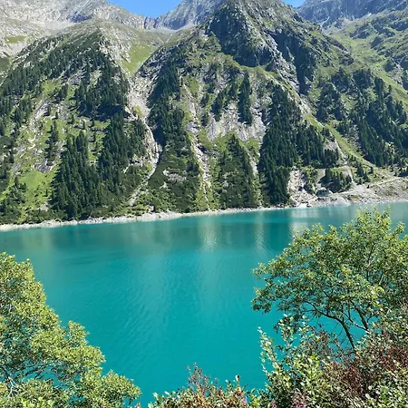 Franz Josef * 斯达姆